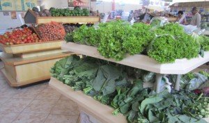 verduras